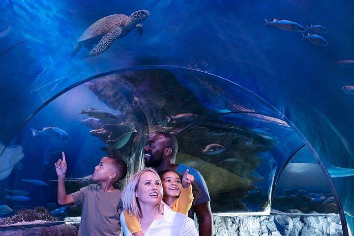 SEA LIFE アメリカンドリームでのニュージャージー入場券