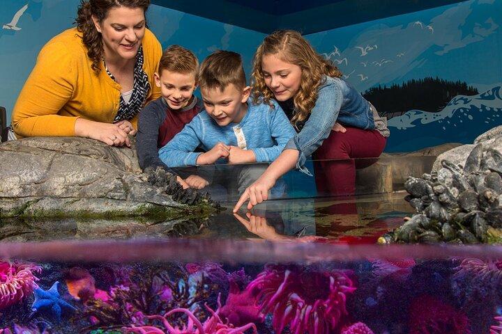 SEA LIFE アメリカンドリームでのニュージャージー入場券