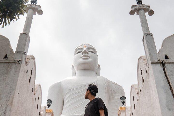 Excursion d'une journée à Kandy (privé et tout compris)