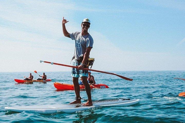 Paddle & Snorkle: Albufeira SUP Tour