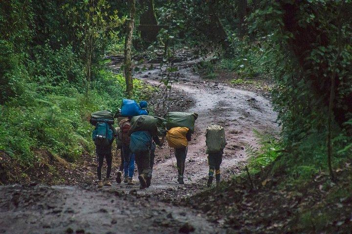7 Day Kilimanjaro Machame climb