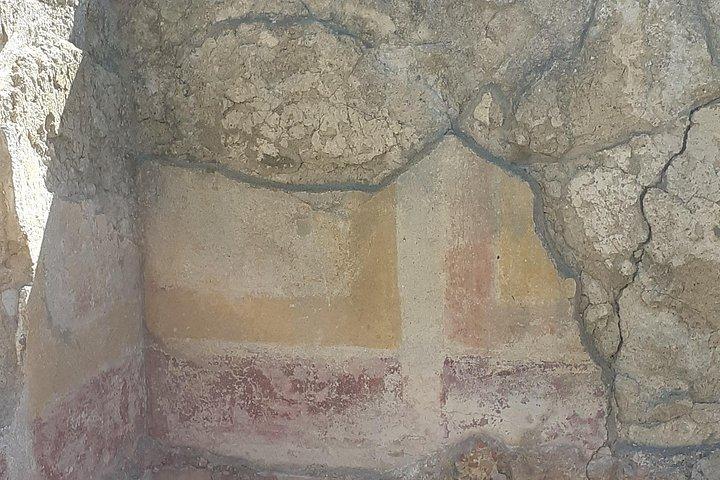 Civitavecchiaの古代浴場へのガイド付き訪問