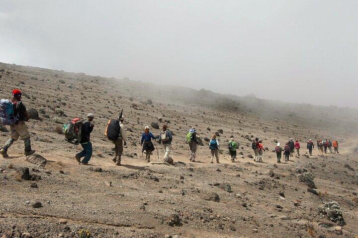 8 dagars Kilimanjaro Lemosho-klättring