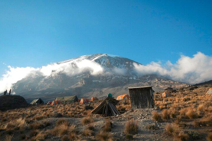 8 dagars Kilimanjaro Lemosho-klättring