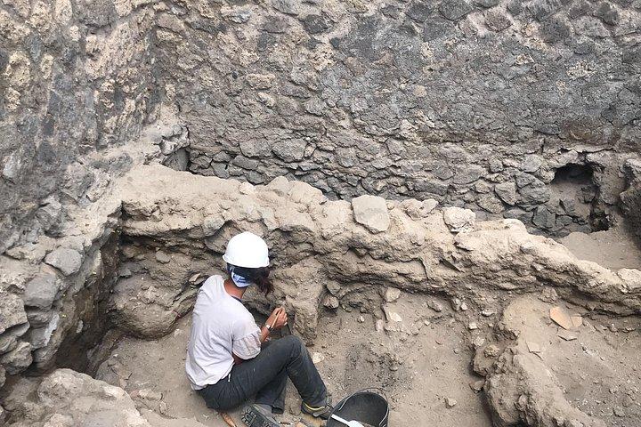 Visite privée d'Herculanum avec l'archéologue