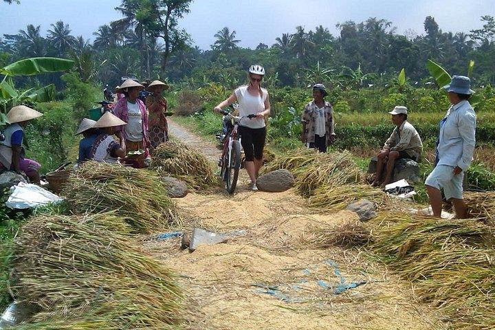 Cycling the Prambanan UNESCO Temples & Plaosan from Yogyakarta