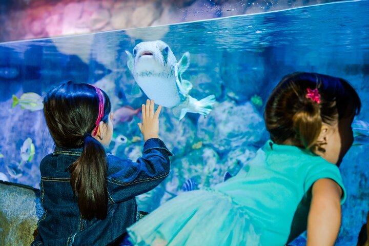 SEA LIFE Aquarium サンアントニオ入場券