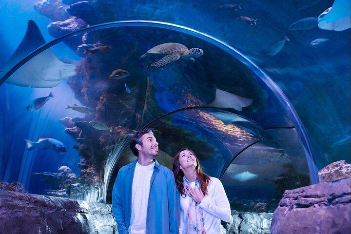 SEA LIFE Aquarium サンアントニオ入場券