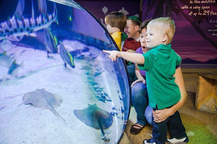 SEA LIFE Aquarium サンアントニオ入場券