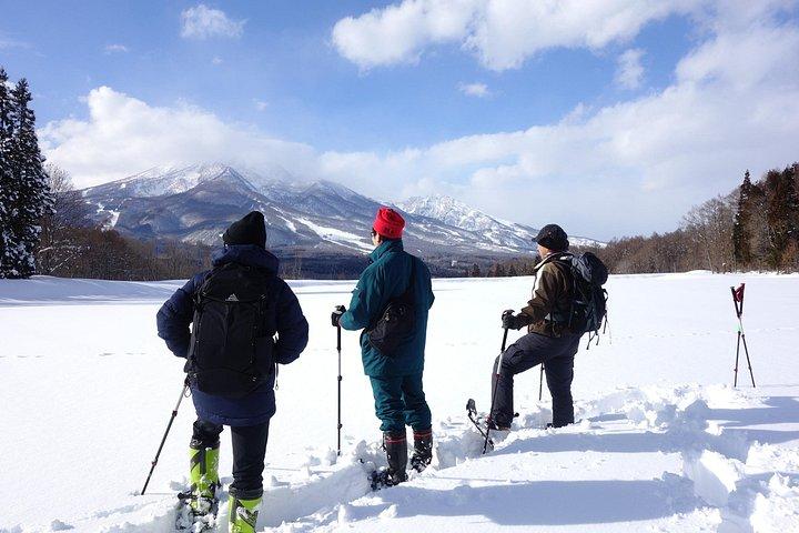 Nagano Snowshoe vandringstur
