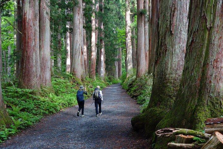 Heldags vandreoplevelse i North Nagano