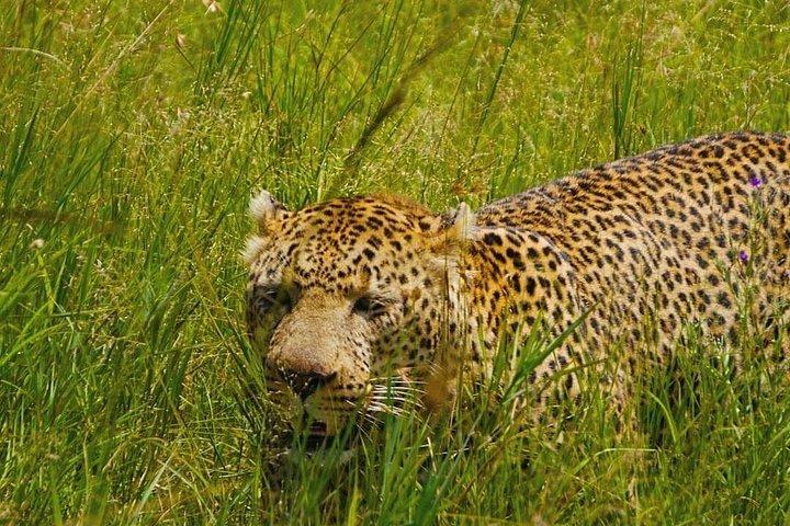 6 Days Tanzania join group Budget Camping Safari