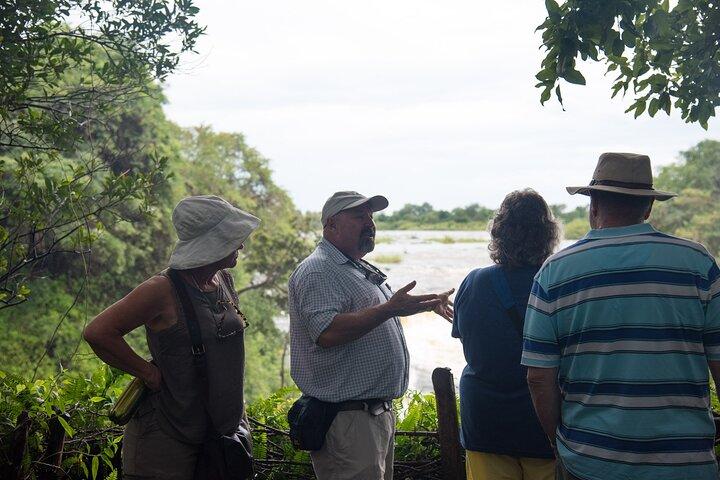 Visita guiada às Cataratas Vitória com embarque