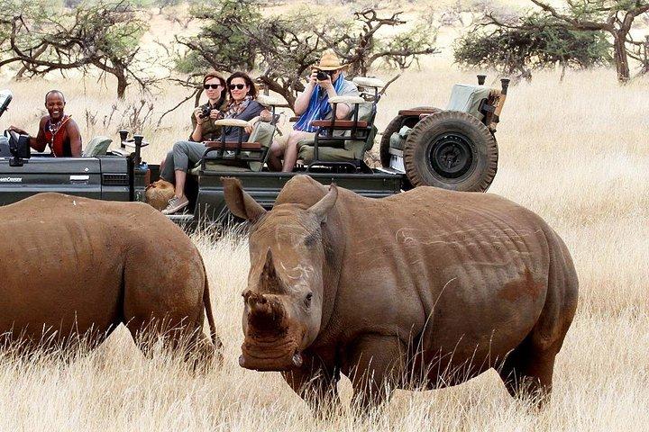 Aventura privada: Nairobi park, Centro de elefantes y jirafas