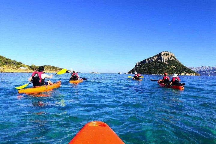 Kajaktour mit Aperitif und Delfinen