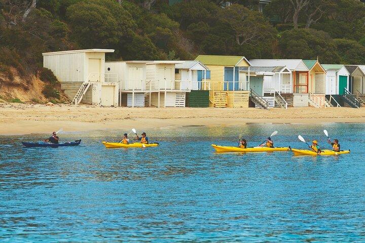 Mornington Peninsula Kayak Coastline Tour du Sanctuaire des dauphins