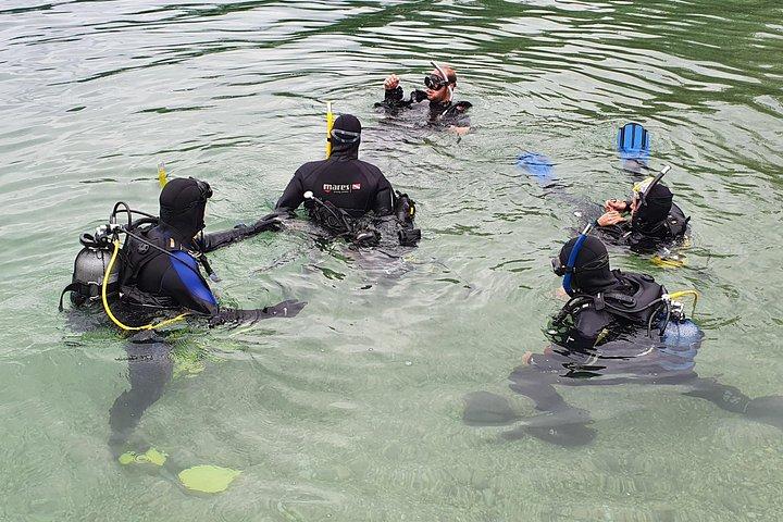 Diving Bled