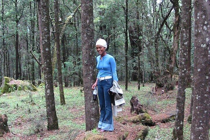 Privé Menagesha Suba Forest-wandel- en sightseeingtour