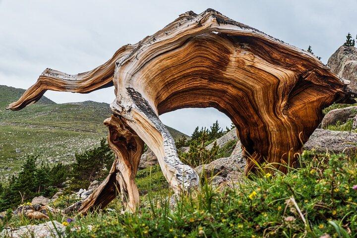 Mount Blue Sky Summit Experience e Excursão Red Rocks