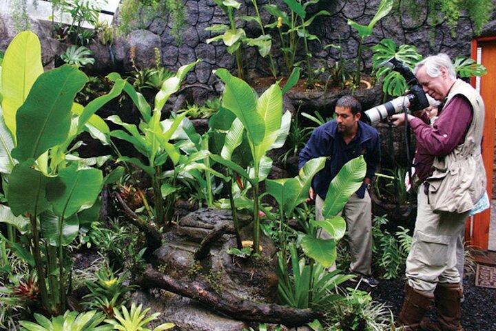 Private Day Tour in La Paz Waterfall Gardens & Baldi Hot Springs vanuit San Jose