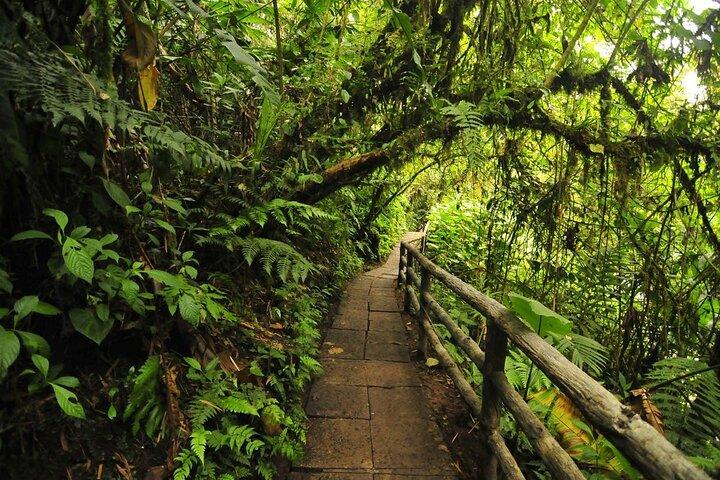 Private Day Tour in La Paz Waterfall Gardens & Baldi Hot Springs vanuit San Jose