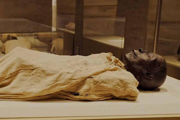 Excursão ao Museu de Antiguidades Nacional e Egípcia do Cairo com almoço