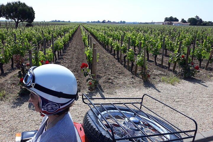 Half-day private tour in Saint-Emilion in a sidecar