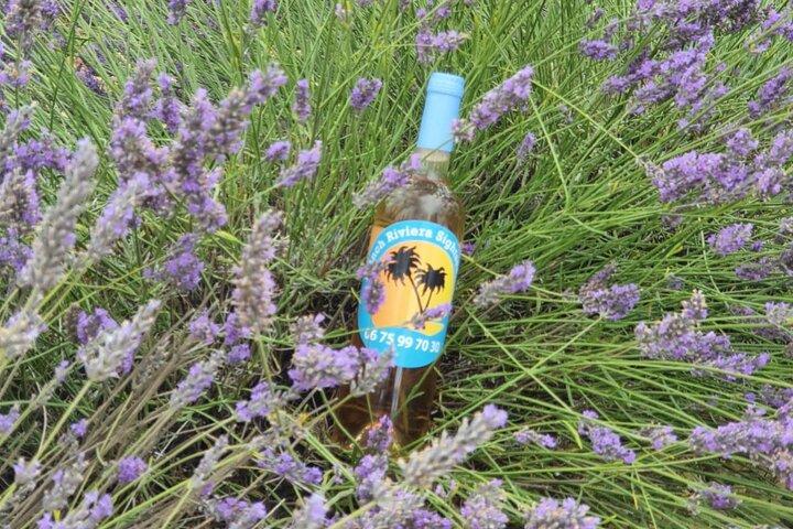 Excursão privada de dia inteiro em Lavender e Provence com coleta