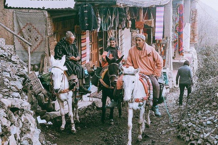 マラケシュからのプライベートアガファイ砂漠とベルベル村の日帰り旅行