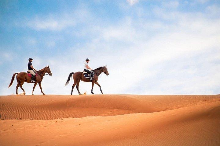砂丘バッシング、ラクダ、馬に乗るドバイの熱気球に乗る