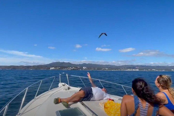 Private Yacht, Sightseeing, Snorkeling and Private beaches