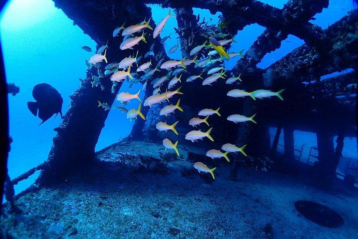 SPECIAL!! 2 Tank Wreck & Drift Reef dives