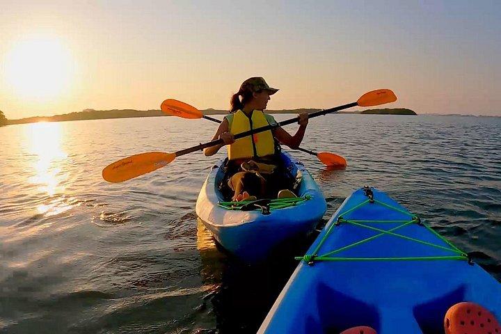Kayaking the Canals of Venice, FL