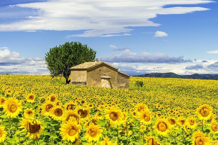 Van Gogh's Provence & Les-Baux-de-Provence - Tour por la tarde