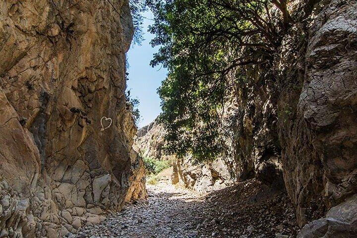 Imbros Gorge - guidet vandreture og svømning - dagstur fra Chania