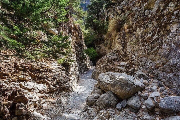 Imbros Gorge - guidet vandreture og svømning - dagstur fra Chania