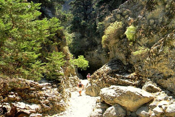 Imbros Gorge - guidet vandreture og svømning - dagstur fra Chania