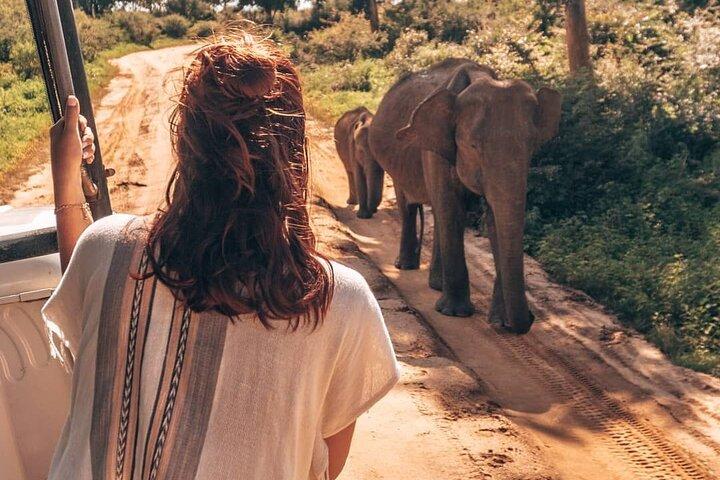 Udawalawa Safari Drive Da Galle, Weligama, Mirissa e Dickwella
