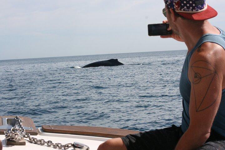 サン ホセ デル カボでのプライベート ホエール ウォッチング