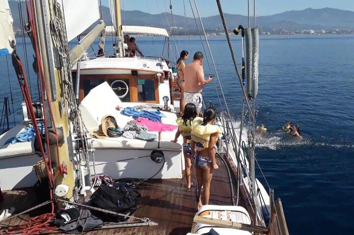 Delfinsafari i Estepona-bugten