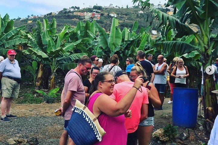 Teneriffa Eco Bananenfarm Tour