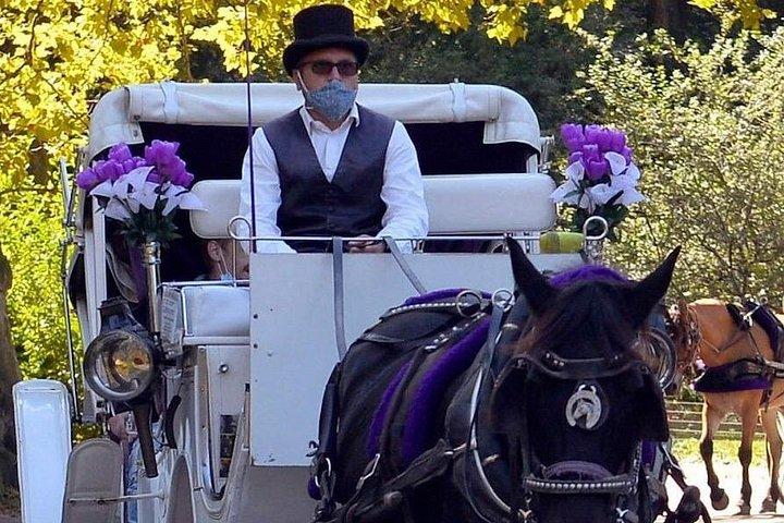 ニューヨークシティ セントラル パーク ホース アンド キャリッジ ライド: ロング ライド 45 分