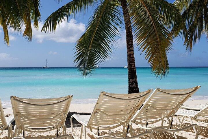 Kleine groep : Saona Island Volledige dagtour