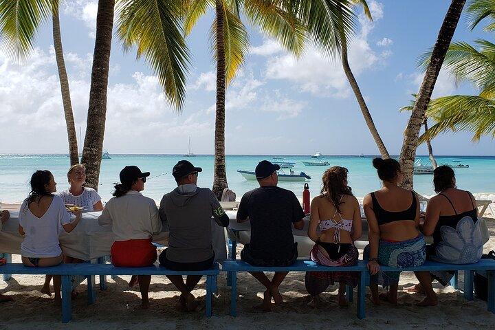 Kleine groep : Saona Island Volledige dagtour
