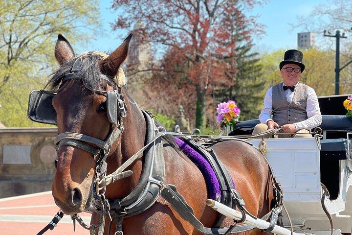 Giro a cavallo e in carrozza a New York Central Park: giro lungo 45 min