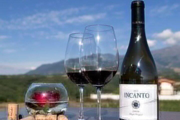 Mosteiro de Rila e Tour de Degustação de Vinhos