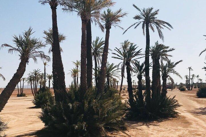 Marrakech Grove Palm Buggy Tour