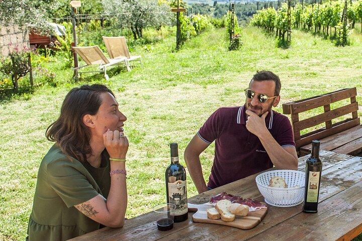 Visite à la ferme Cinta Senese à Montepulciano