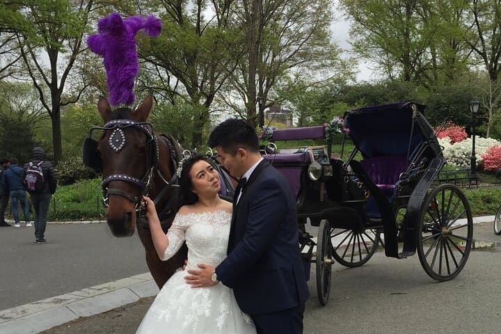 NYC Central Park Horse and Carriage Ride: Long Ride 45 min