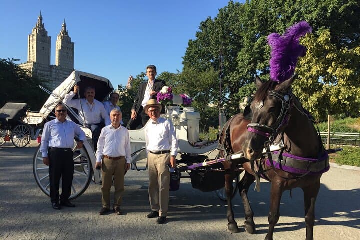 NYC Central Park VIP Horse and Carriage Ride